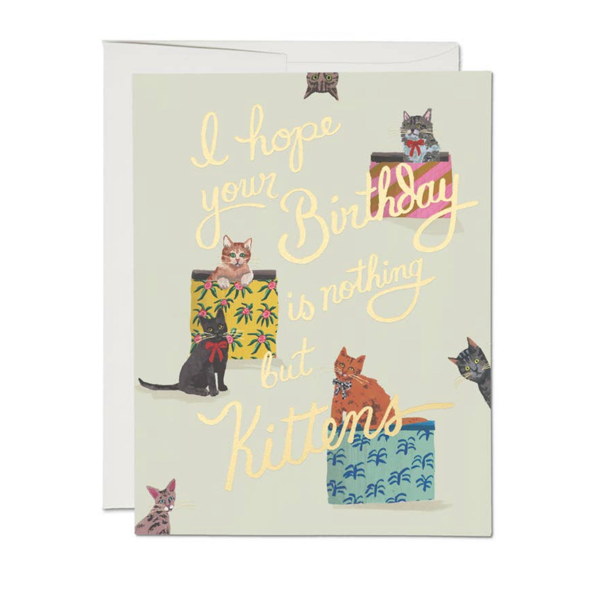 Kittens Birthday Card