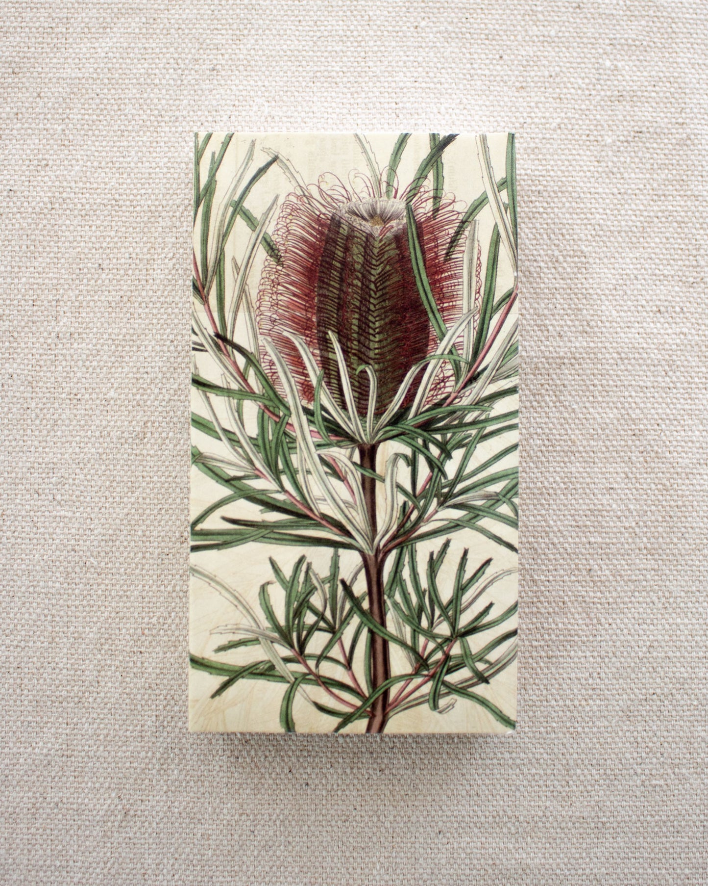Matches - Protea