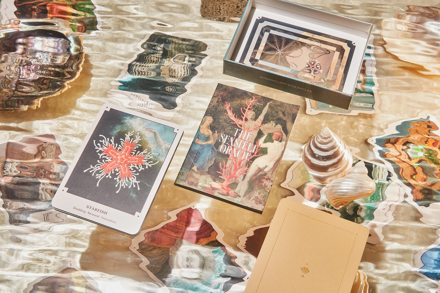 The Seashell Oracle Cards