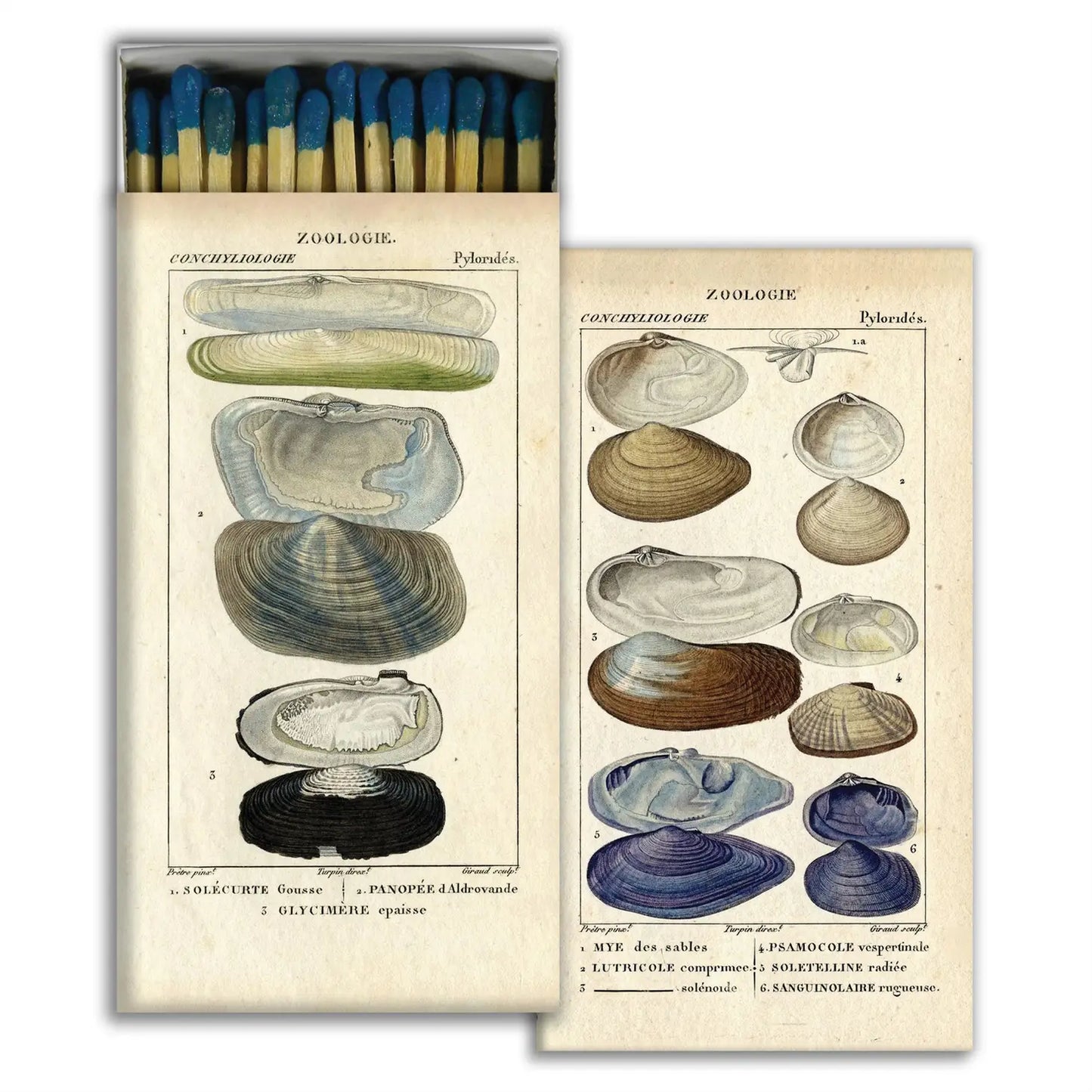 Shell Matches