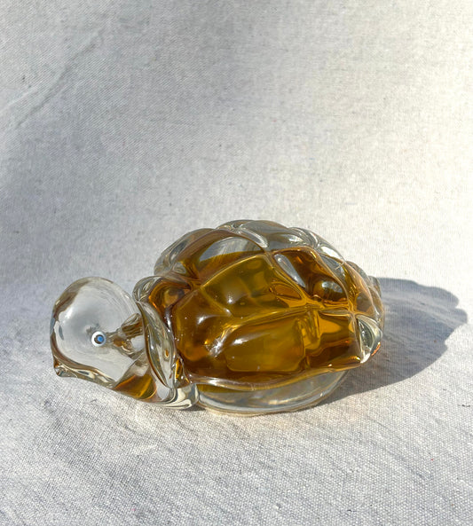 Amber Glass Turtle