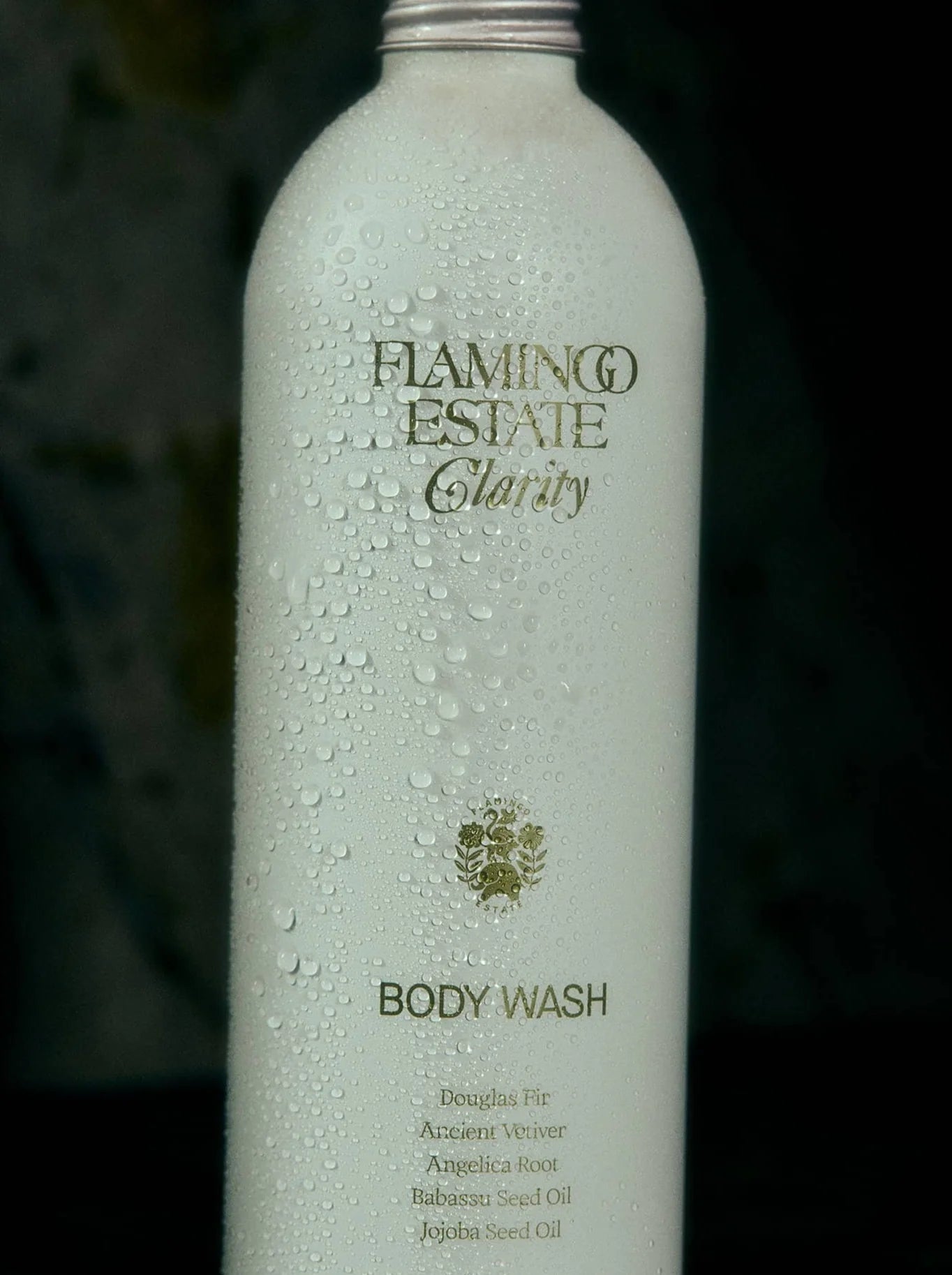 Clarity Body Wash