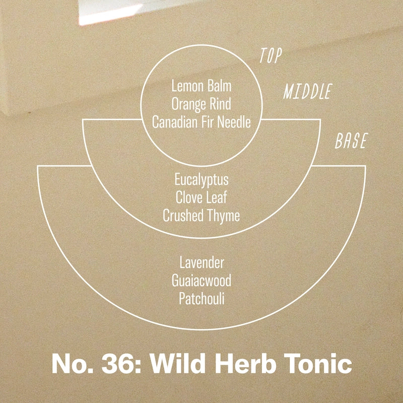 Wild Herb Tonic Incense Sticks