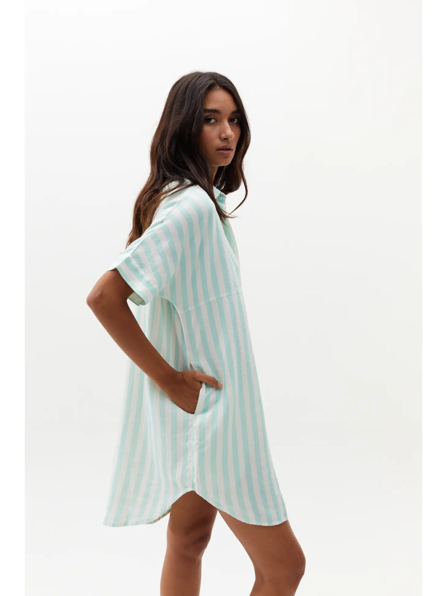 Alba Shirt Dress - Mint Stripe