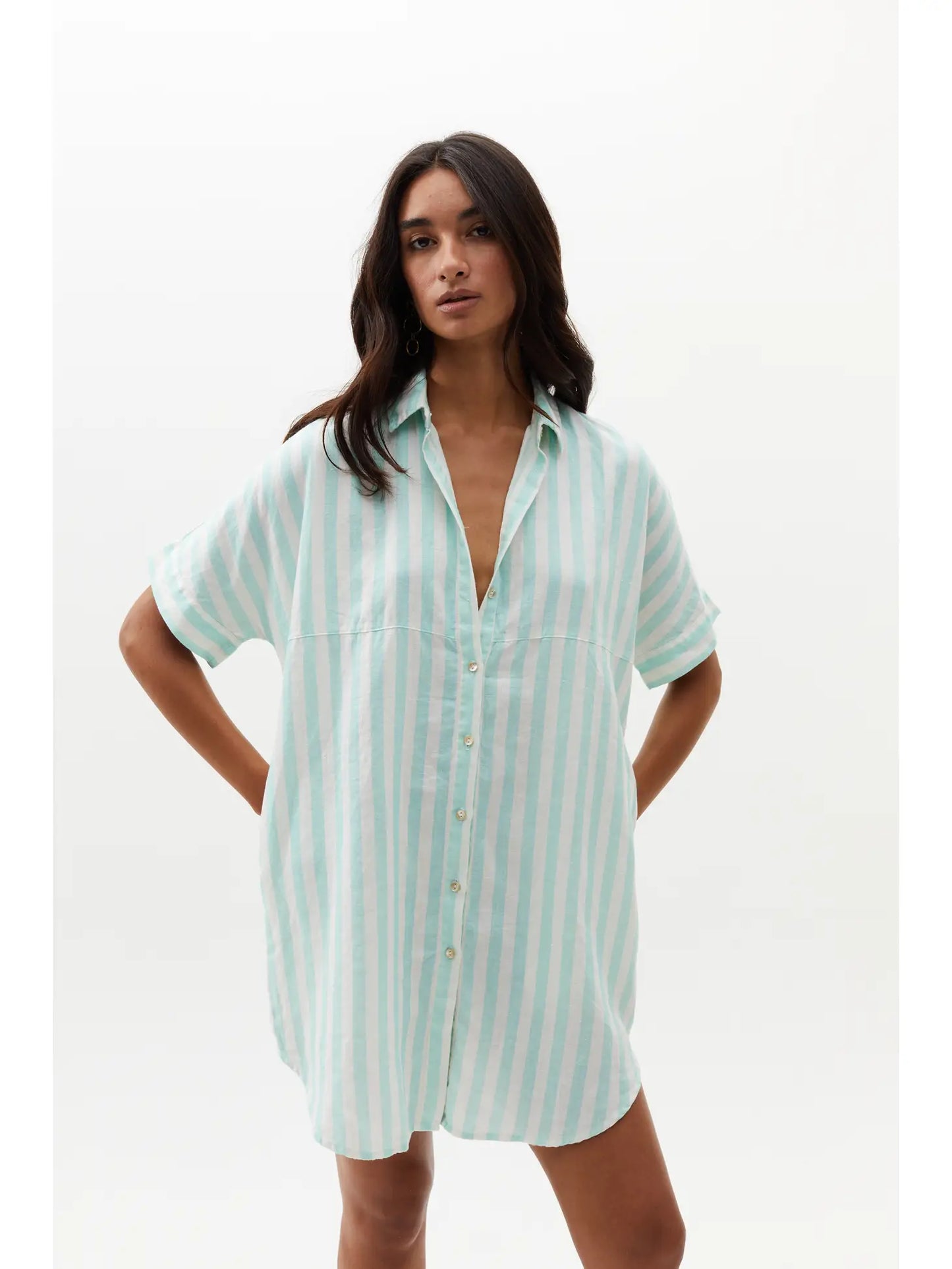 Alba Shirt Dress - Mint Stripe