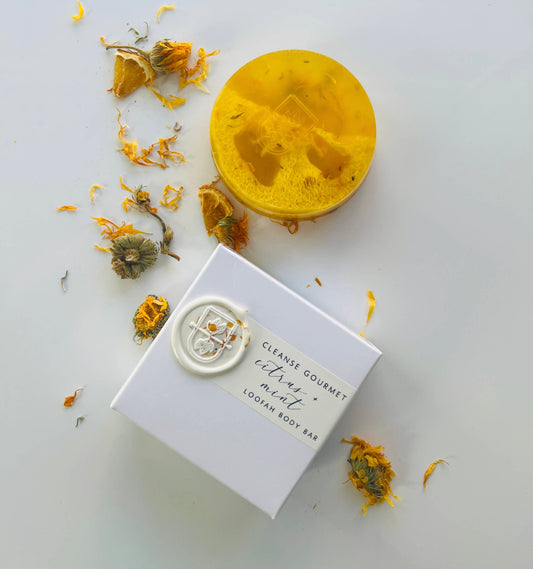 Loofah Soap Bar